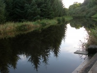 Quiet river.jpg